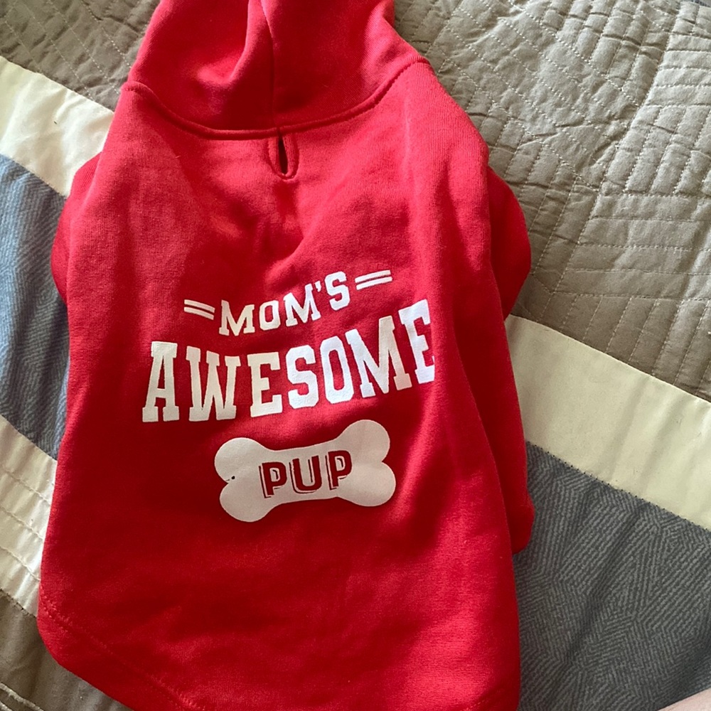 Dog Hoodie in red